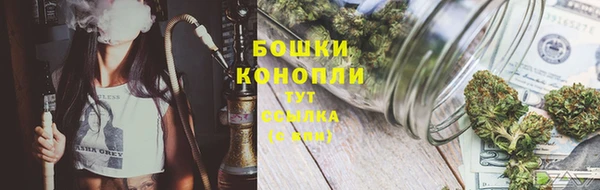 PSILOCYBIN Алзамай
