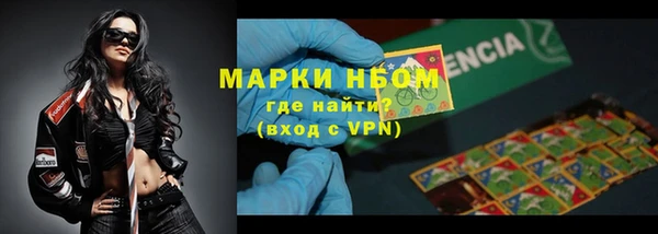 PSILOCYBIN Алзамай