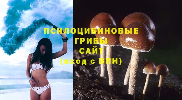 jwh Протвино