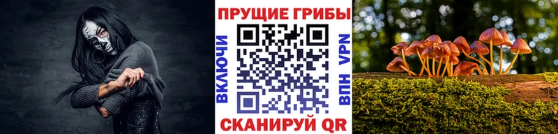 KRAKEN сайт  Бодайбо  Псилоцибиновые грибы мицелий 